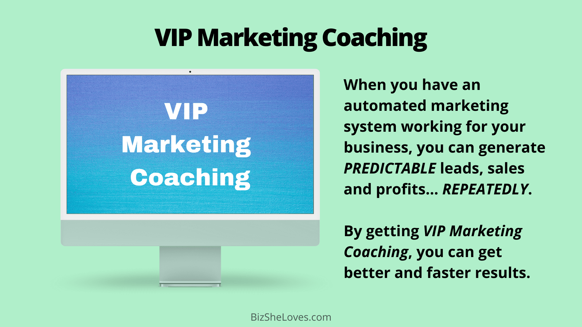 VIP Marketing Coaching